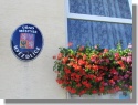 Kvetoucí úřad městyse 2012