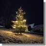 Rozsvěcení vánočního stromu 2021